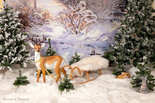 Фотостудия Белая комната