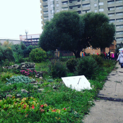 Станция юннатов сад