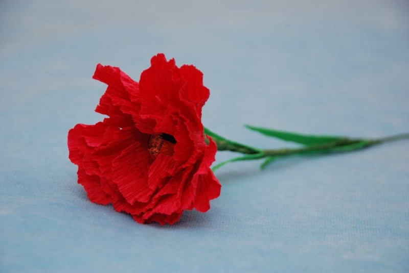 Гвоздика из гофры