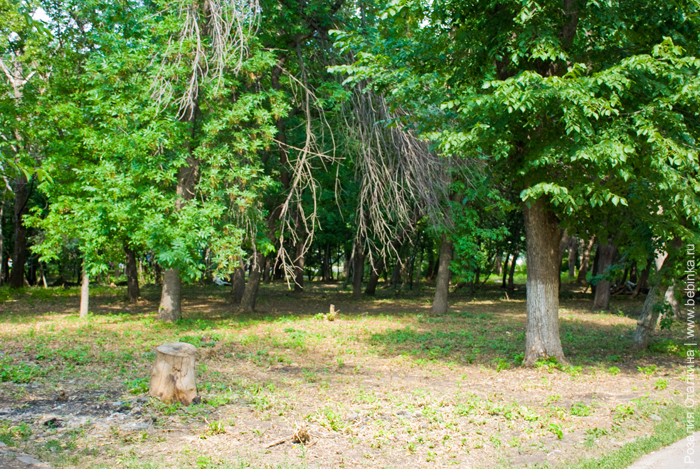 Парк Дружбы