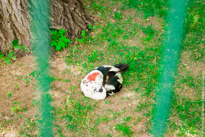 Парк Гагарина