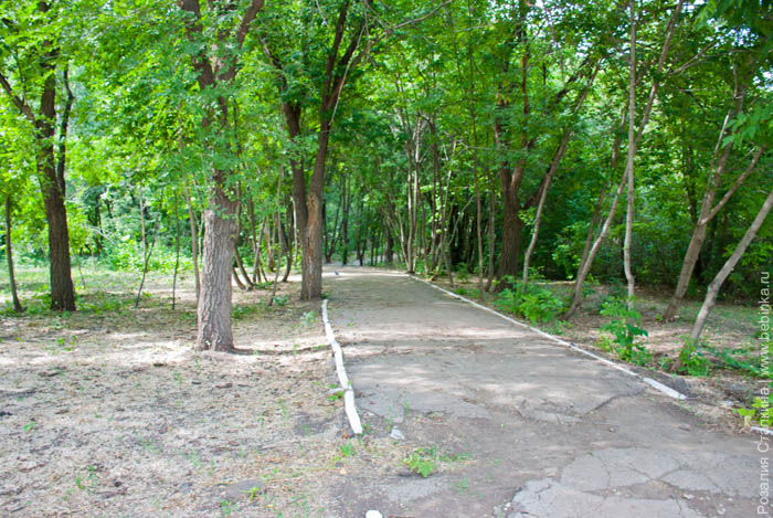 Парк Молодежный