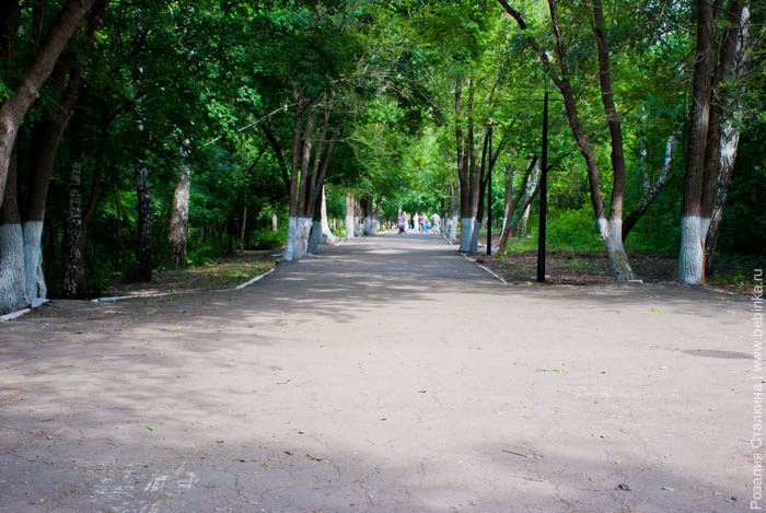 Парк Молодежный