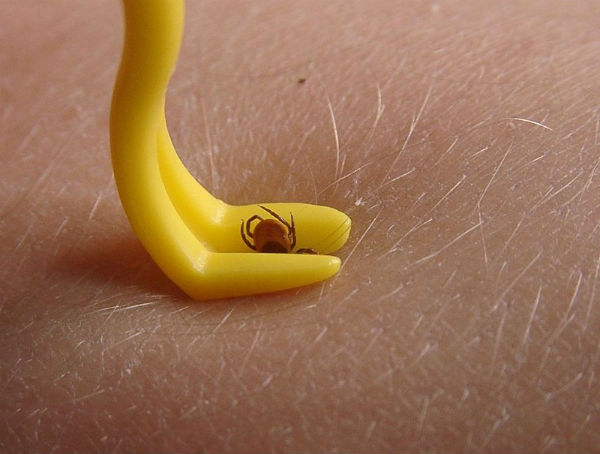 Пинцет для клещей