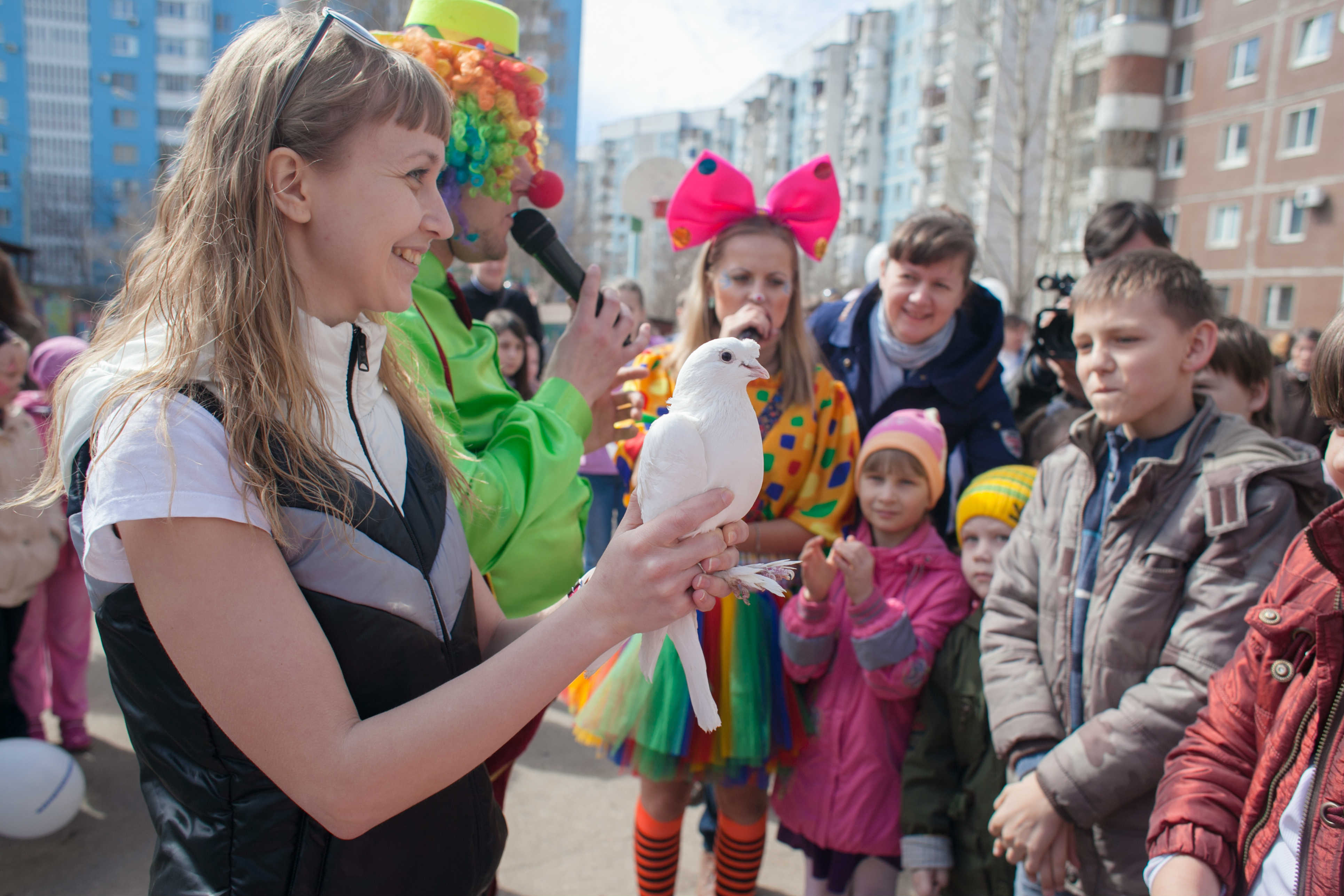 Запуск голубей