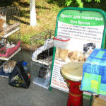 Приют для животных