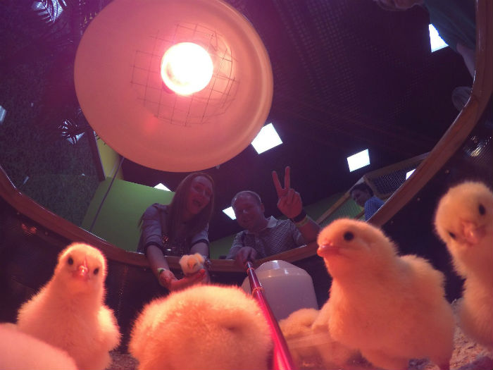 Ручной зоопарк в Самаре