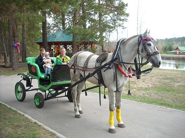 Русская охота