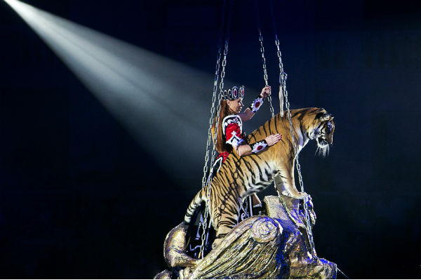 шоу гии эрадзе