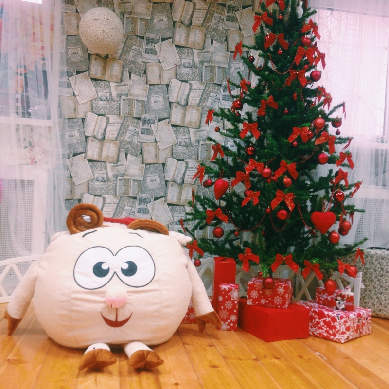 Фотостудия Сова