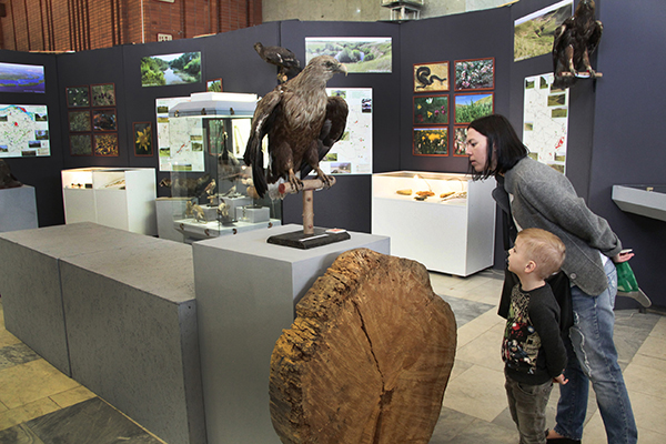 заповедные острова