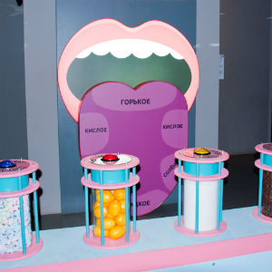 Живые системы