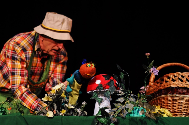 Веселая гусеница